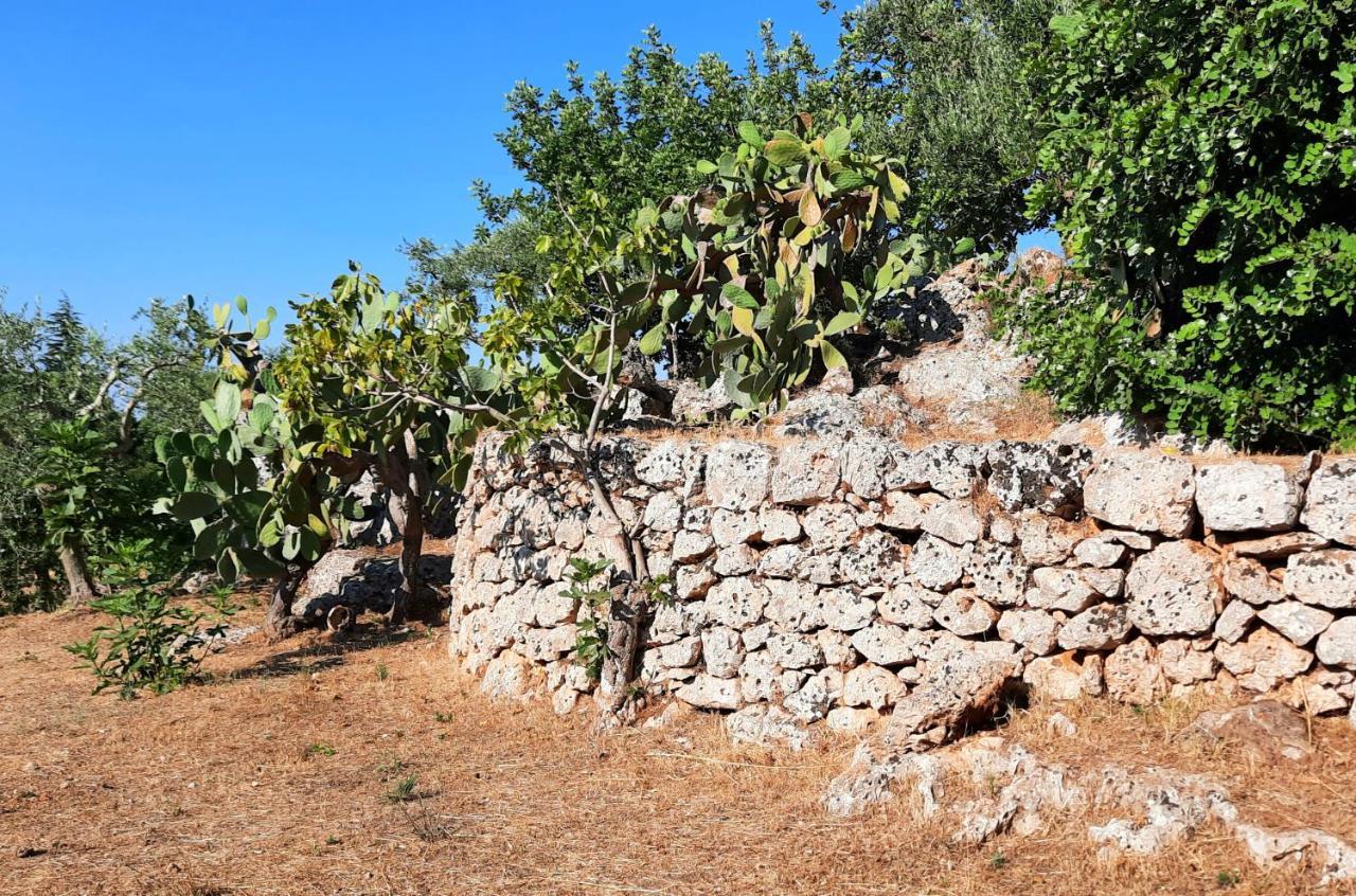 I Due Carrubi Villa Ostuni Bagian luar foto