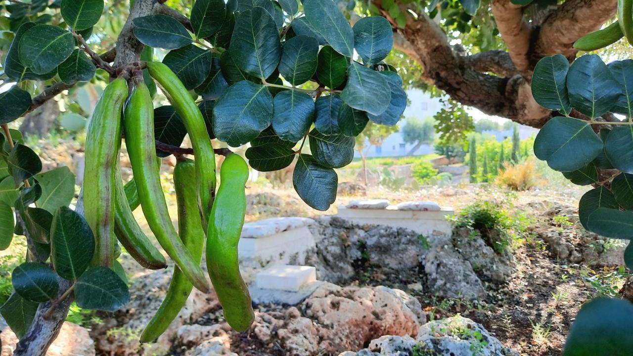 I Due Carrubi Villa Ostuni Bagian luar foto